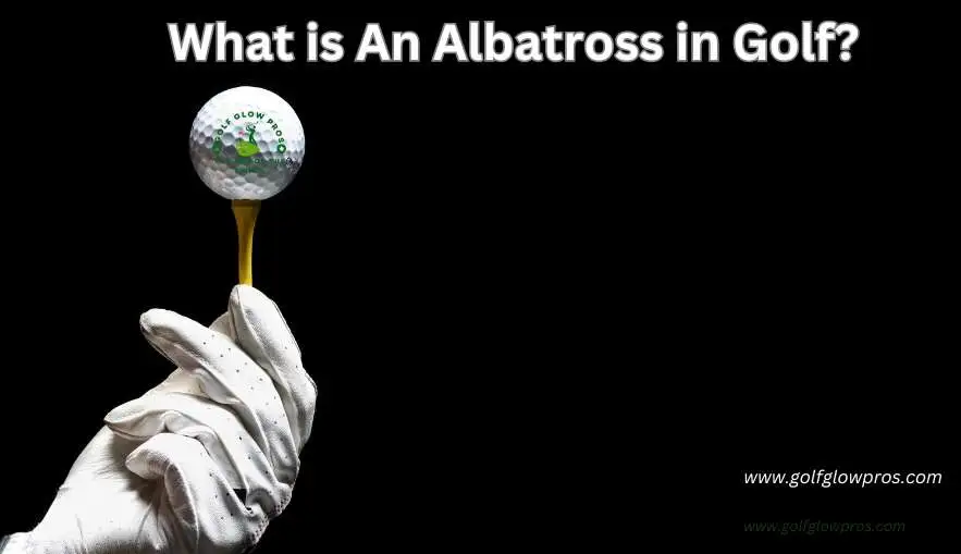 What Is An Albatross in Golf